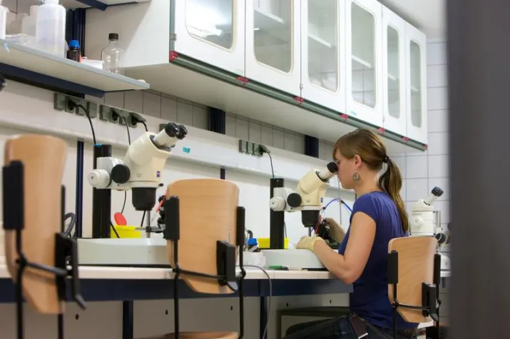 Bild: Gender Open Science