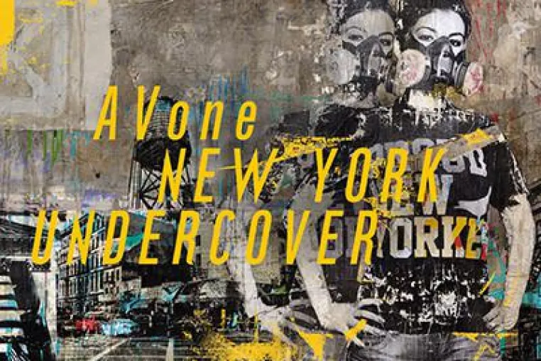 Bild: New York Undercover