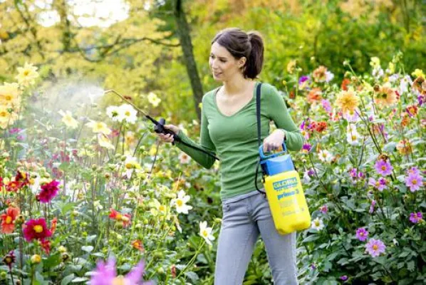 Bild: Die neue Kompaktklasse für den kleinen Garten