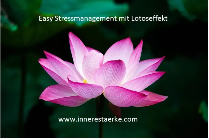 Bild: Stressmanagement-Kurse in Berlin mit Lotoseffekt