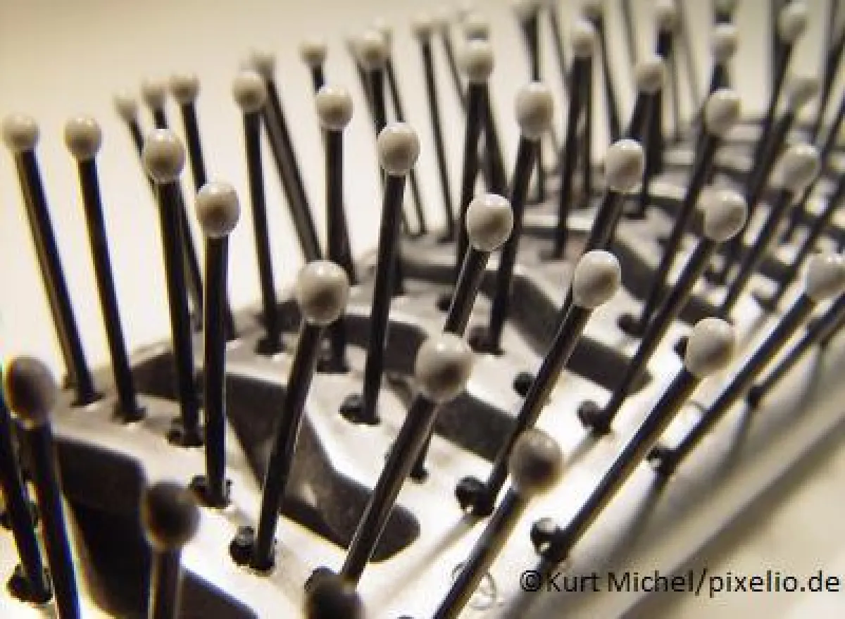 Wenn wir im Frühling Haare verlieren: der saisonale Haarausfall (© Michel Kurt/pixelio.de)
