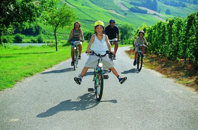 Mit dem Rad unterwegs - Schöne Touren zwischen Küste und Alpen Bild: Mit dem Rad unterwegs - Schöne Touren zwischen Küste und Alpen