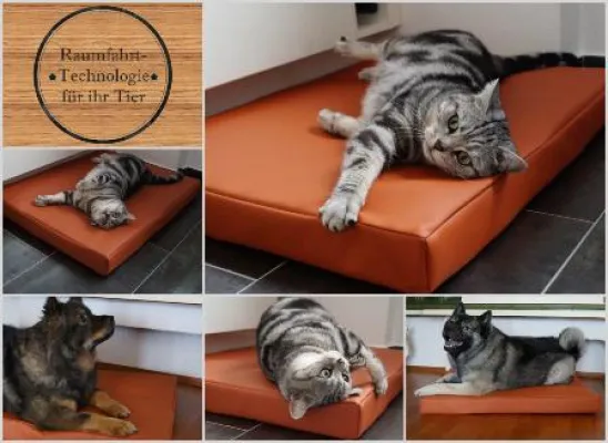Bild: Schlafen auf neuem Niveau - Raumfahrttechnologie für Hunde und Katzen