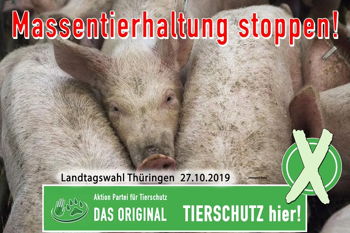 Schluss mit der Massentierhaltung