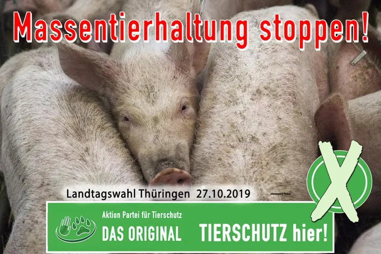 Massentierhaltung muss aufhören Bild: Massentierhaltung muss aufhören
