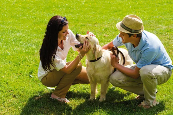 Bild: LINDA Apotheken beraten zur Tiergesundheit