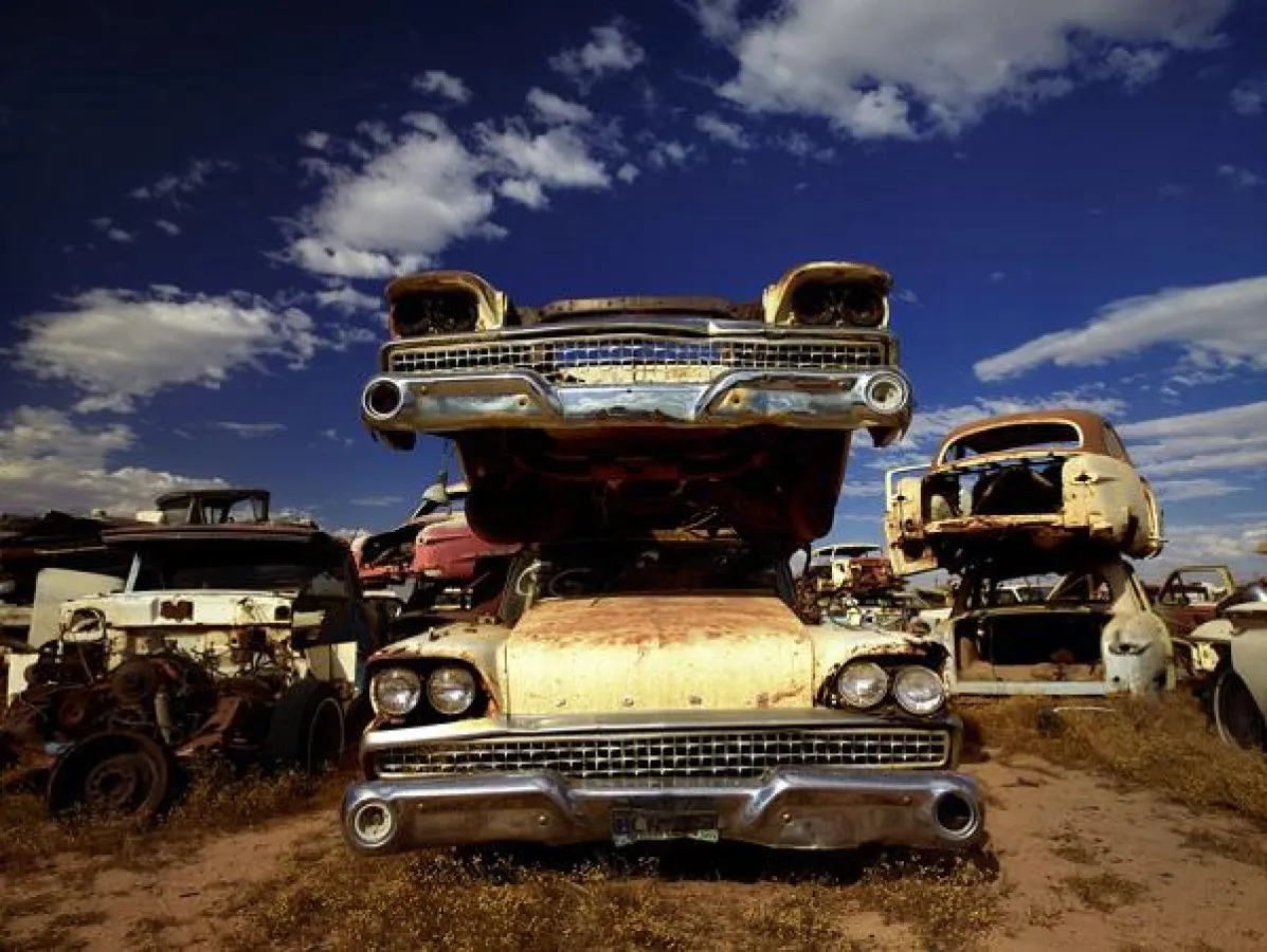 Forest Punk goes America © DIETER KLEIN