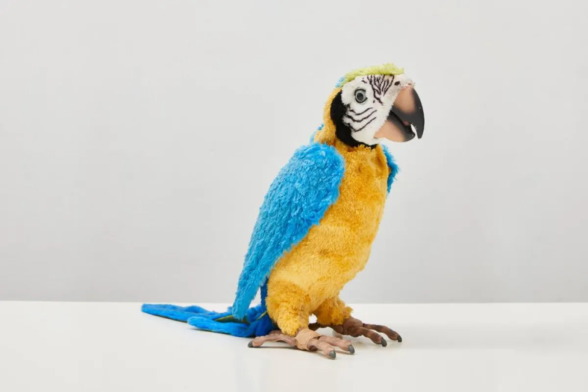 Gerrit Frohne-Brinkmann, Dirty Parrot, 2018, Foto: Volker Renner