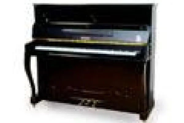 Bild: Klavierbau für gelebte Kultur