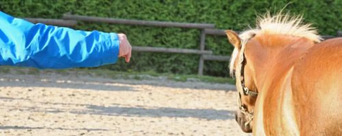 Führen soll das freiwillige Folgen auslösen