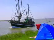 Bild: Nordsee online buchen statt ewig suchen - Urlaub und Ferien am Nordseestrand in Ferienwohnungen und Häusern