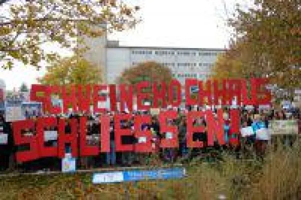 Bild: Schweinehochhaus schließen! 400 Tierschützer protestierten vor Anlage in Maasdorf (Bildmaterial vorhanden)