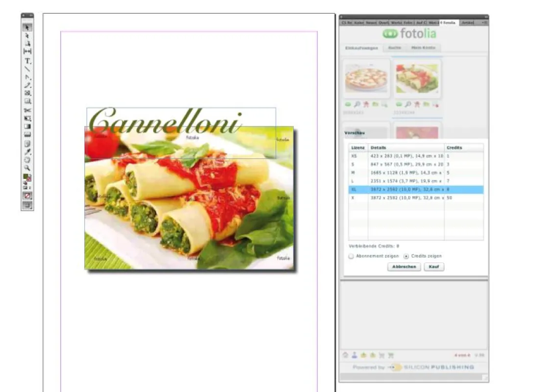 Das Adobe Plug-in erlaubt den direkten Zugriff von Anwendungen der CS 5 Suite auf die Fotolia-Websei
