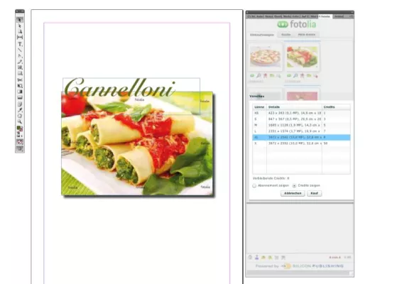 Bild: Fotolia liefert branchenweit erstes Plug-in für Adobe InDesign, Illustrator und Photoshop