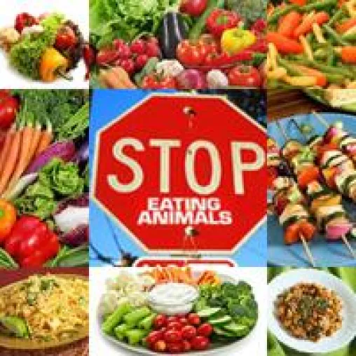 Ernährung ohne Leichenfleisch – ohne tote Tiere Bild: Ernährung ohne Leichenfleisch – ohne tote Tiere