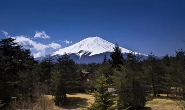 Bild: SIGMA „Our World“-Tour im Monatsrückblick – von Japans Frühling bis zum australischen Herbst