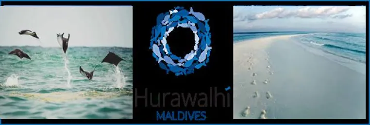 Bild: Hurawalhi Island Maldives Ein nachhaltiges Luxus-Resort