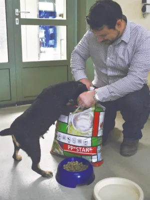 Wau. 350 kg Hundefutter für den Wiener Tierschutzverein Bild: Wau. 350 kg Hundefutter für den Wiener Tierschutzverein