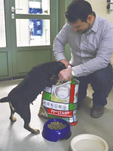 Bild: Wau. 350 kg Hundefutter für den Wiener Tierschutzverein