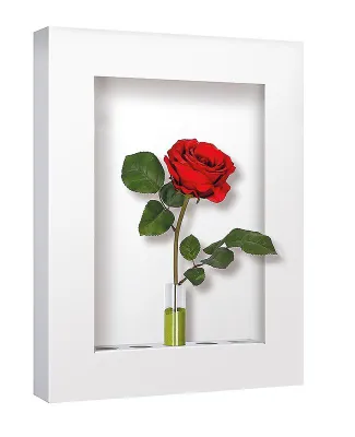 Bild: FLORETTA Dekorahmen - Das Wohnaccessoir für individuelle Wandgestaltung - passend für jeden Geschenkanlass