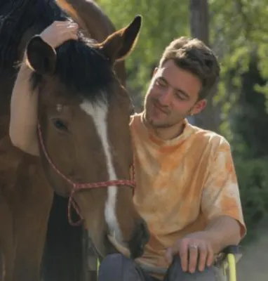 Bild: Pferdestudium: kostenlose Infoveranstaltungen Januar 2008