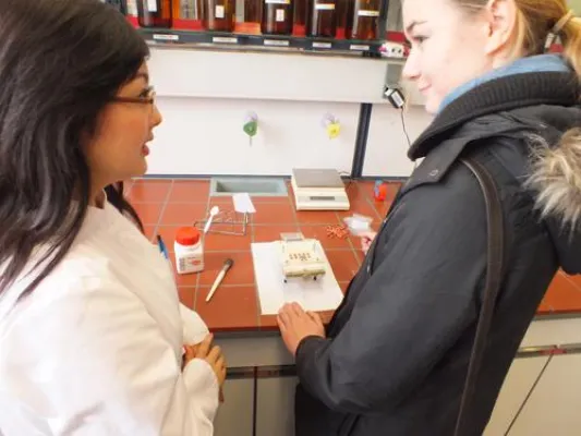 Bild: „Wenn der Briefträger mit Ananas im Mondschein spazieren geht“ - Tag der offenen Tür der Hochschule Fresenius