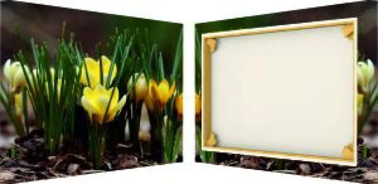 Bild: Fotoleinwand, exklusives Wohnaccessoire für Zuhause, Büro und Salon