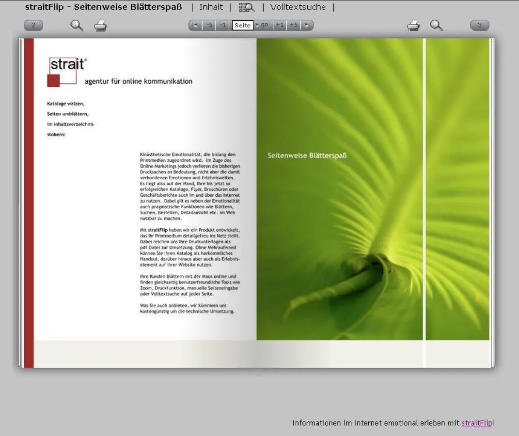 Bildschliff verlost straitFlip Blätterkataloge!
