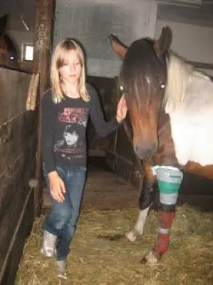 Bild: Tierquäler verstümmelt Pony / Tierrechtsorganisation PETA setzt 500 EUR Belohnung aus