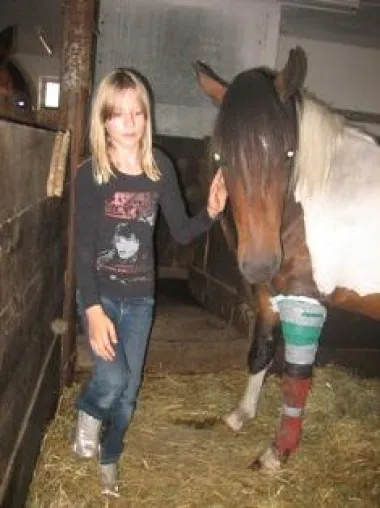 Tierquäler verstümmelt Pony / Tierrechtsorganisation PETA setzt 500 EUR Belohnung aus Bild: Tierquäler verstümmelt Pony / Tierrechtsorganisation PETA setzt 500 EUR Belohnung aus