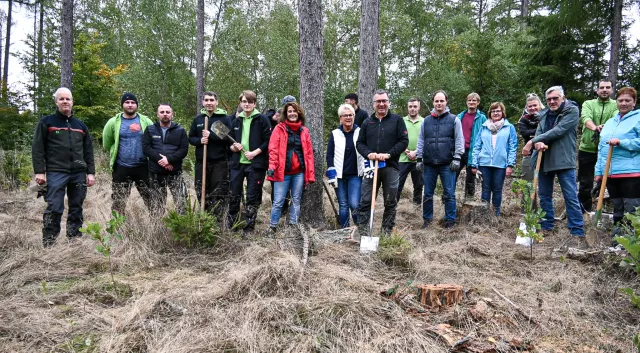 Bild: Unternehmensgruppe Reifert übernimmt Baumpatenschaft für 100 Eichen im Bad Hönninger Wald