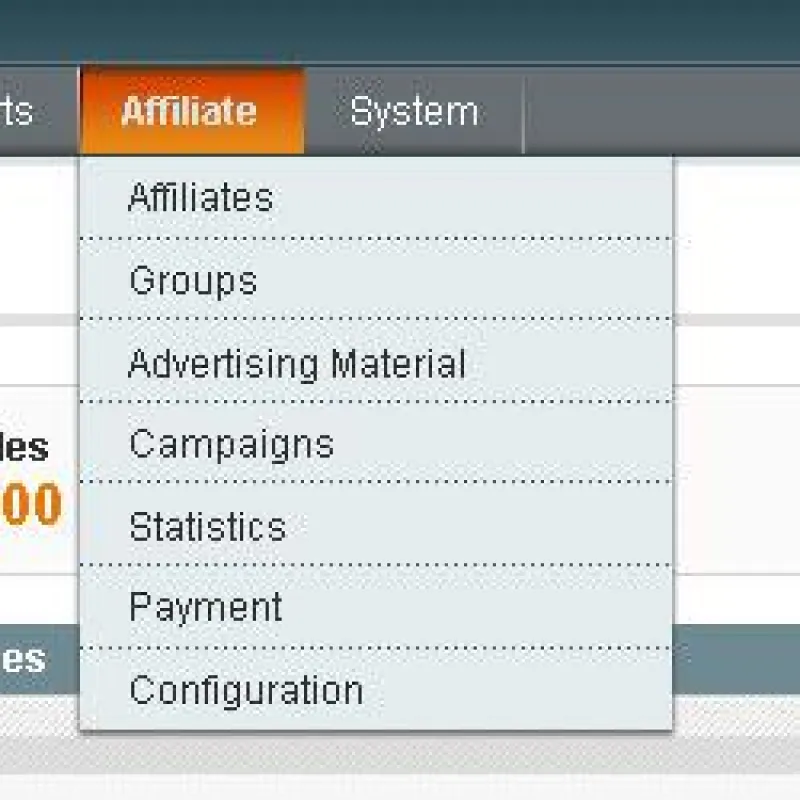 Magento Affiliate-Marketing Modul