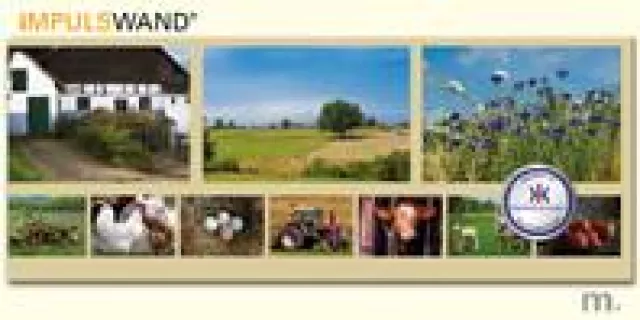 Bild: Das Konzept der Impulswand unterstützt die Erinnerungsarbeit mit älteren und demenzkranken Menschen