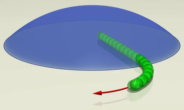 Bild: Warum Händigkeit bei der Navigation hilft