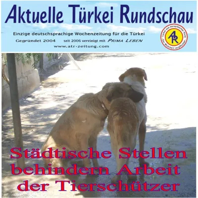 Bild: Türkei- Ausländische Tierschutzorganisationen werden systematisch behindert - diesmal Kusadasi