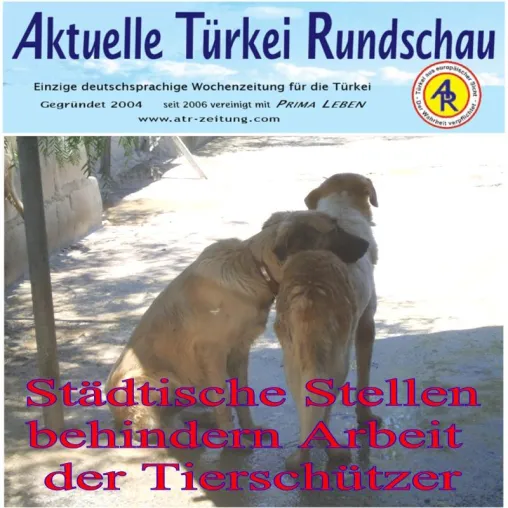 Türkei- Ausländische Tierschutzorganisationen werden systematisch behindert - diesmal Kusadasi Bild: Türkei- Ausländische Tierschutzorganisationen werden systematisch behindert - diesmal Kusadasi