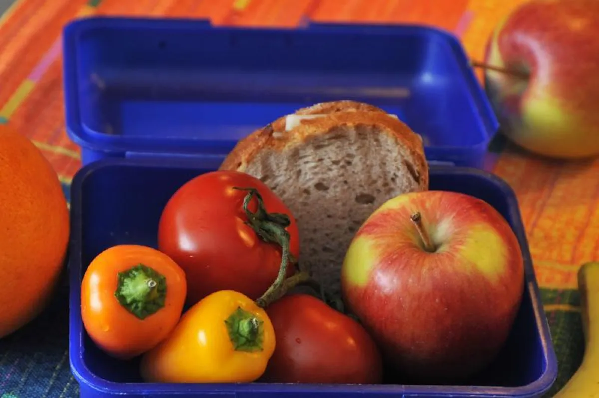 Gesunde Ernährung ist auch ein wichtiges Thema für und in Schulen. Hier setzt das neue Arbeitsheft „Ernährung“ an. ((Foto: Anne Günther/FSU))