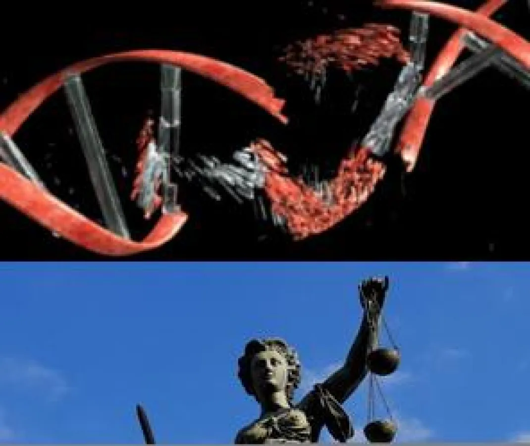 Erbgutschädigung statt Kindeswohl