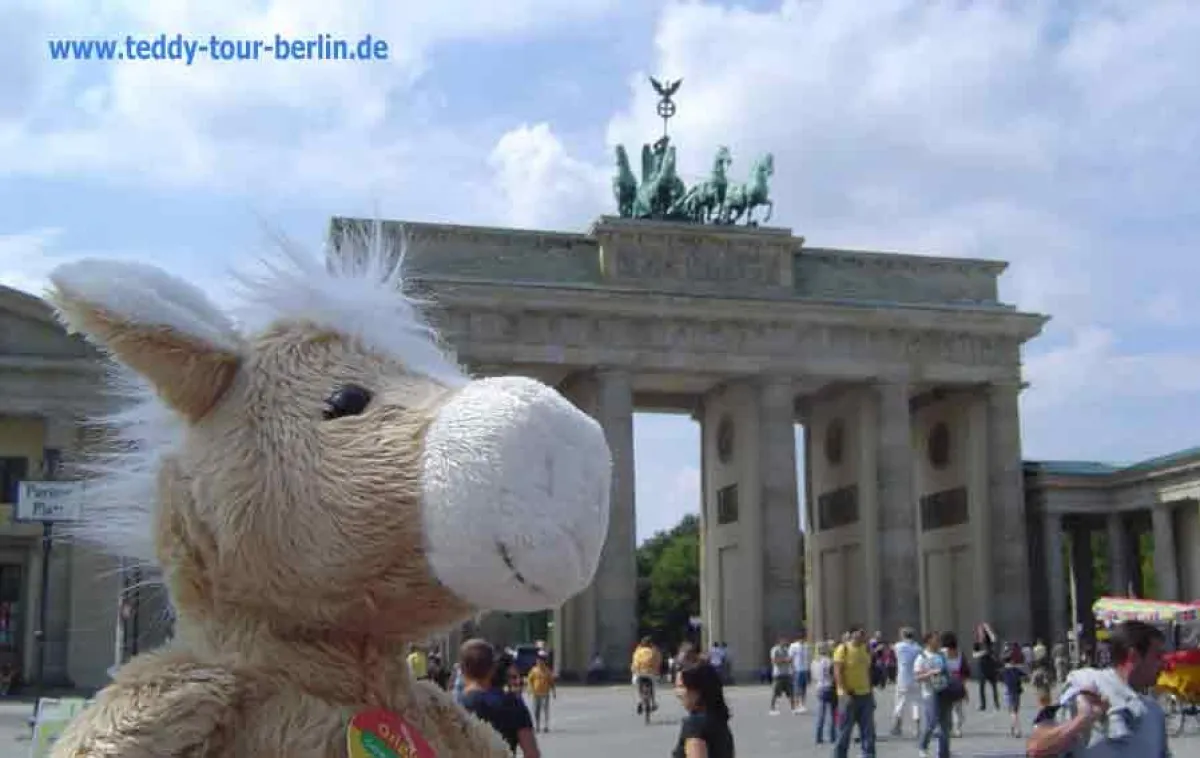 TEDDY TOUR BERLIN unterstützt nestwärme e.V. Deutschland