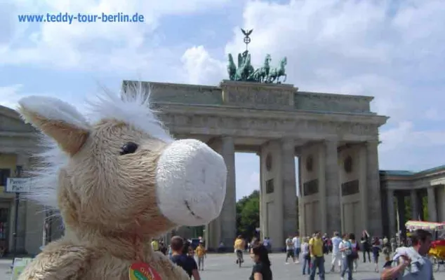 Bild: TEDDY TOUR BERLIN unterstützt nestwärme e.V. Deutschland mit Last-Minute-Weihnachtsgeschenk-Gutschein