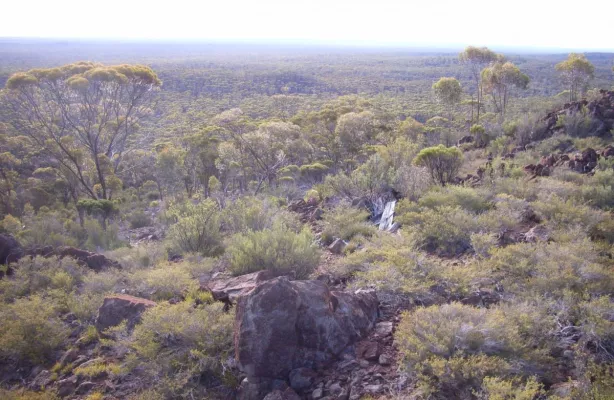 Bild: Conico meldet vielversprechende Kobalt-, Nickel- und Scandiumwerte von Mt Thirsty JV