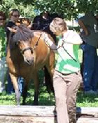 Auf das Pferd gekommen - Kommunikations- und Managertraining einmal anders Bild: Auf das Pferd gekommen - Kommunikations- und Managertraining einmal anders
