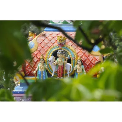 Bild: Grundlagen-Fotoworkshop für Spiegelreflexfotografie in Worms