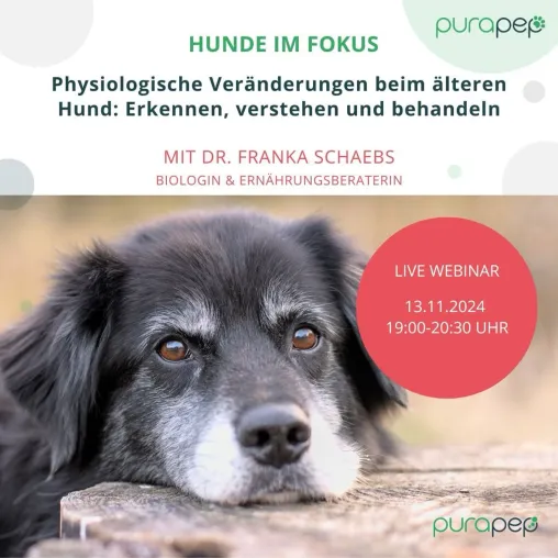 Live-Webinar: Physiologische Veränderungen beim älteren Hund – Erkennen, verstehen und behandeln Bild: Live-Webinar: Physiologische Veränderungen beim älteren Hund – Erkennen, verstehen und behandeln