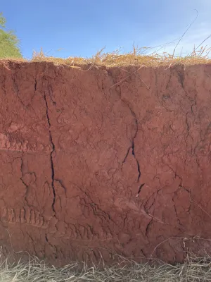 Bild: Herrenberg-Urteil stellt Hochschulen vor große Herausforderungen – rund 95.000 Lehrbeauftragte betroffen