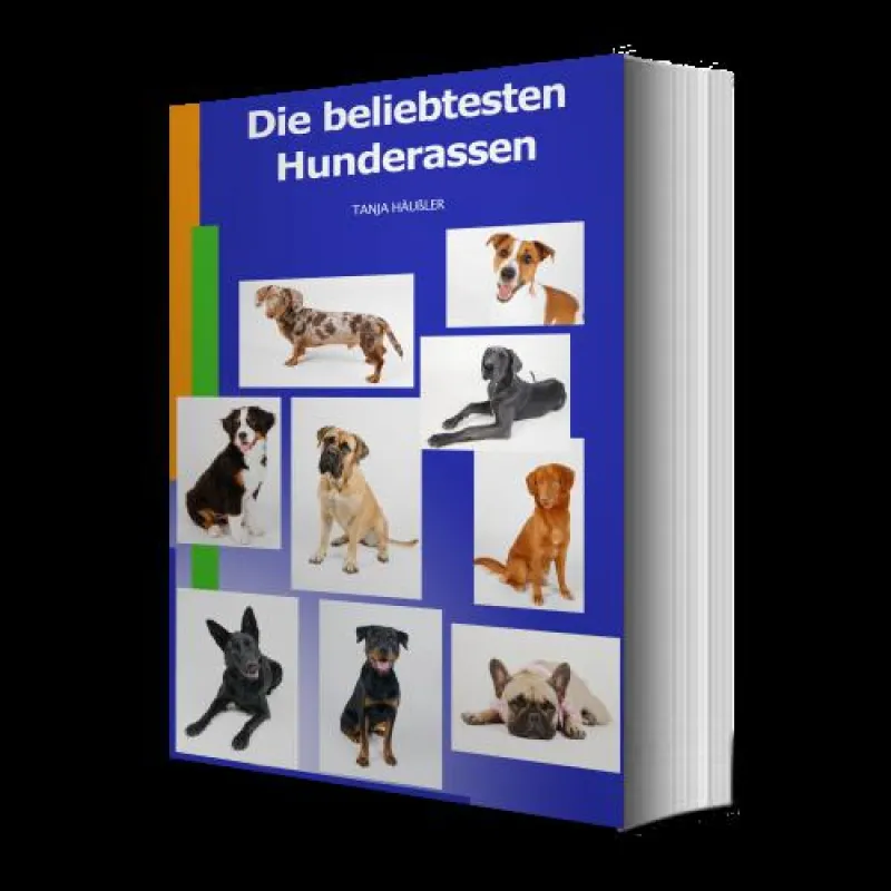 Die beliebtesten Hunderassen