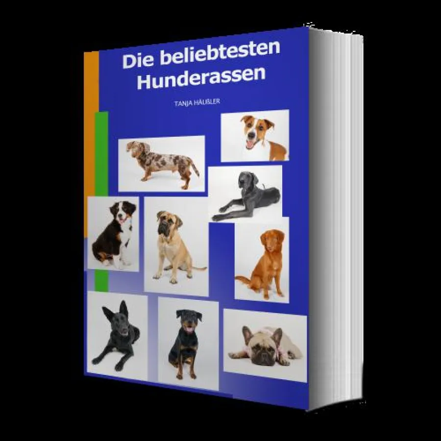 Die beliebtesten Hunderassen