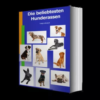 Welcher Hund passt zu mir? Bild: Welcher Hund passt zu mir?