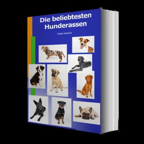 Welcher Hund passt zu mir? Bild: Welcher Hund passt zu mir?
