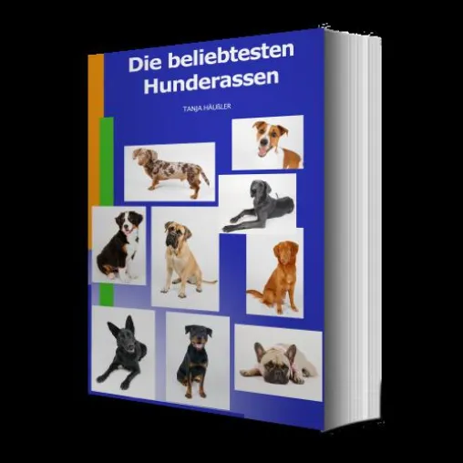 Bild: Welcher Hund passt zu mir?